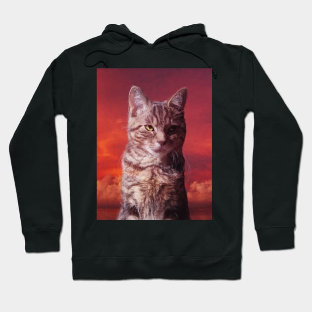 Grey tabby cat in the red sky Hoodie by Arteria6e9Vena